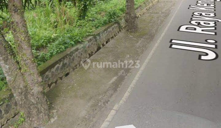 Tanah Depan Rusters Ubud Cocok Segala Bisnis View Sawah Hutan  1