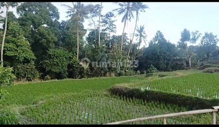 COOL RIVER RICE FIELD VIEW LAND SUITABLE FOR VILLA RENTALS UBUD 2