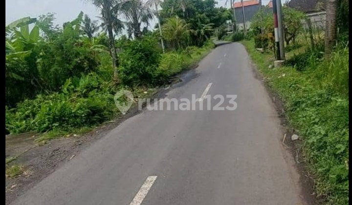 Tanah Murah Pinggir Jalan Pering Siap Bangun Tanah Murah Pinggir Jalan Pering Siap Bangun