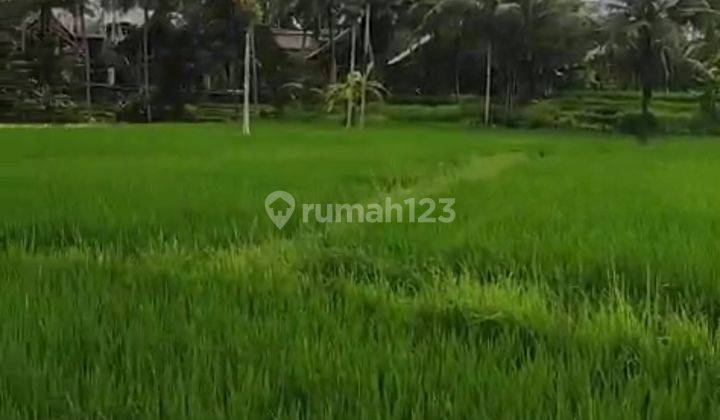 Tanah View Sawah Abadi Cocok Villa Atau Hotel 1