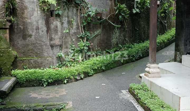 Rumah Di Jalan Raya Ubud Central Ubud Cocok Jadi Guesthouse 2