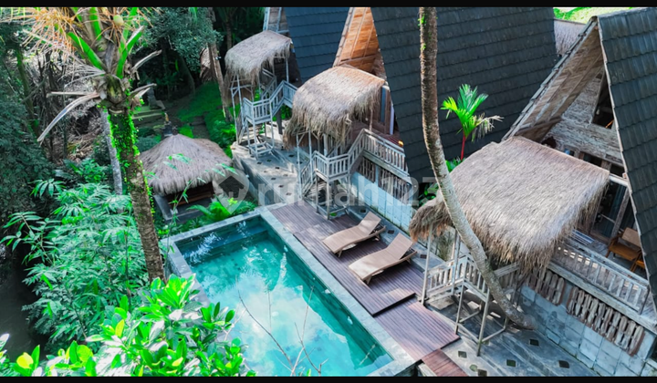 Cheap Rental Villa with 4 Units, Spacious Land, River and Forest View