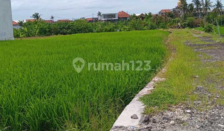 Land for Sale in Pererenan, Jl Pantai Lima, Good, Strategic Land for Sale in Pererenan, Jl Pantai Lima, Good, Strategic