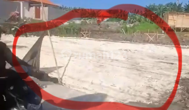 Tanah Sewa Jalan Utama Cocok Vila Cafe Harga Murah Tanah Sewa Jalan Utama Cocok Vila Cafe Harga Murah