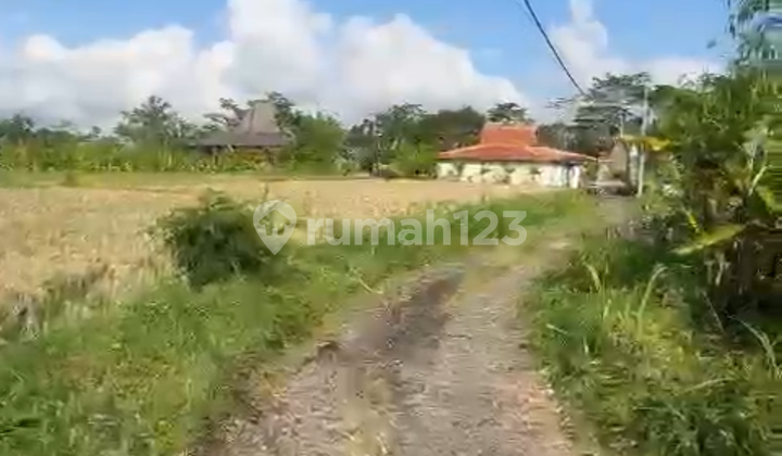 Tanah Murah View Sawah Abadi Cocok Vila Pribadi