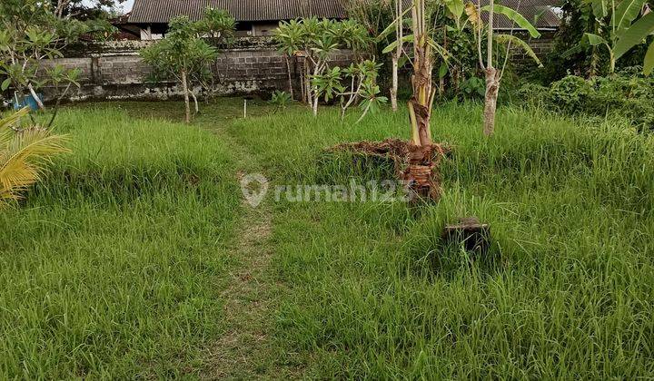 Rumah Style Vila Cocok Jadi Vila Rental Harga Murah 2