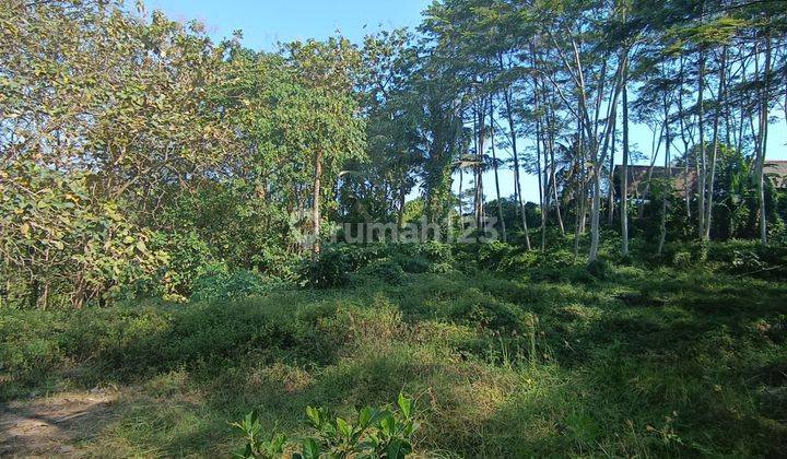 Tanah View Hutan Dan Sungai Cocok Villa Rental 2