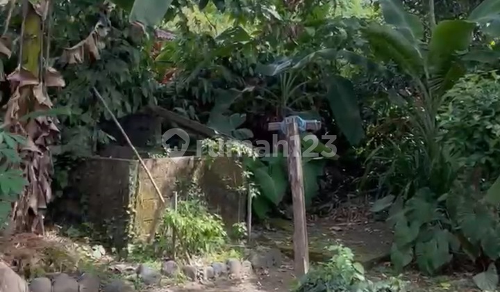 Central Ubud River View Land For Rent For Private Villa