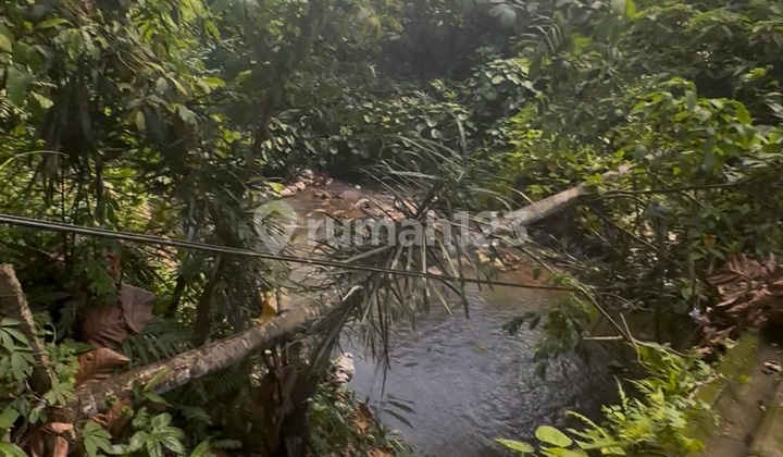 Yellow Zone Land View Sungai Hutan Mas Ubud