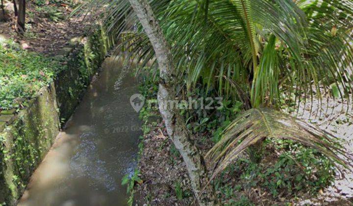 BEAUTIFUL LAND WITH RICE FIELD, FOREST, RIVER VIEW IN UBUD CHEAP PRICE 1