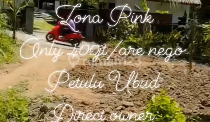 Tanah Murah Petulu Ubud View Sungai Hutan Sawah Tanah Murah Petulu Ubud View Sungai Hutan Sawah