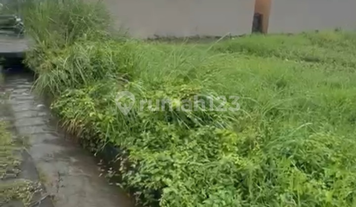 Tanah View Sawah Cantik Cocok Vila Rental Harian Tanah View Sawah Cantik Cocok Vila Rental Harian