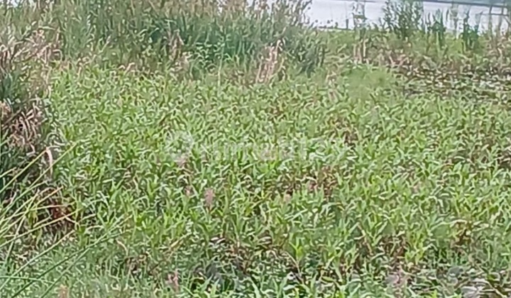 Land in Los Danau Buyan Suitable for Villa Glamping Restaurant Land in Los Danau Buyan Suitable for Villa Glamping Restaurant