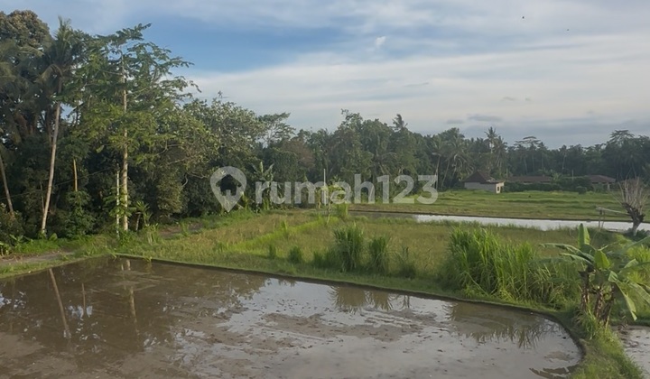 Tanah Siap Bangun View Sawah Pbg Lengkap