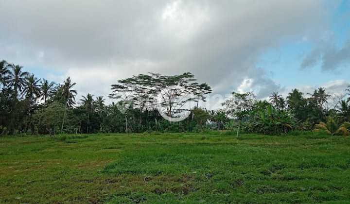 Yellow Zone Leasehold Land, Affordable Price, Ready to Build Rental Villas