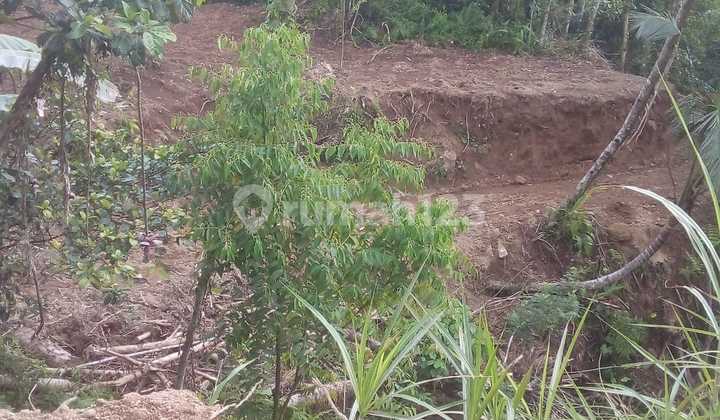 Land for Sale in Ubud Tegalalang Area