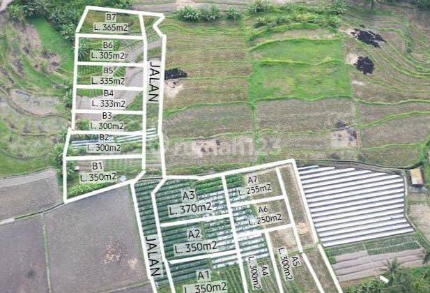 TANAH ZONA PINK HARGA PROMO 5 BUYER PERTAMA VIEW SAWAH CANTIK 1