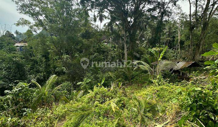 Tanah View Sawah Hutan Sungai Keren Cocok Villa Rental Ubud