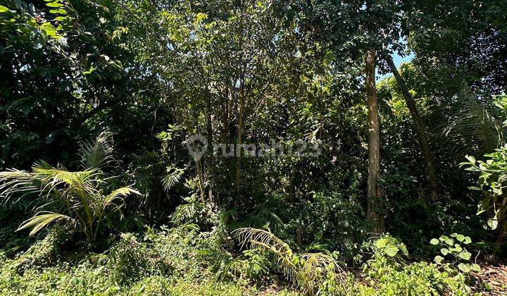 LAND FOR RENT IN YELLOW ZONE READY TO BUILD GARDEN VIEW 2