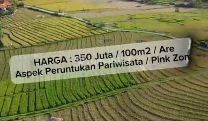 TANAH DI PANTAI PASUT HARGA MURAH VIEW KEREN 1