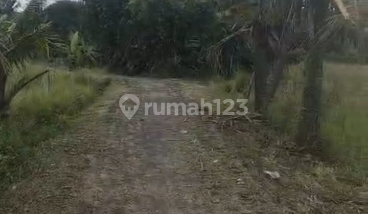 Dijual Tanah untuk Invest di Area Br Kutri Singapadu Dijual Tanah untuk Invest di Area Br Kutri Singapadu