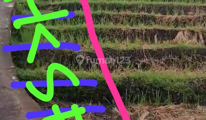 Tanah Dekat Pantai Pererenan View Sawah Siap Bangun Zona Kuning 1