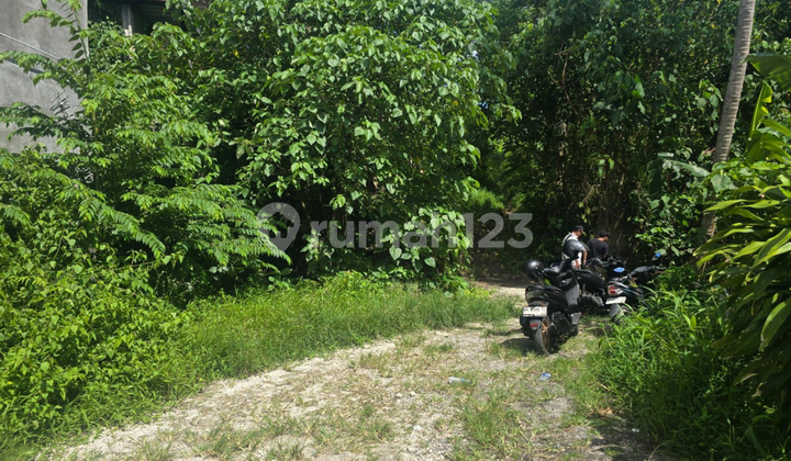 Pink Zone Rental Land Mas Ubud View Forest Rice Fields
