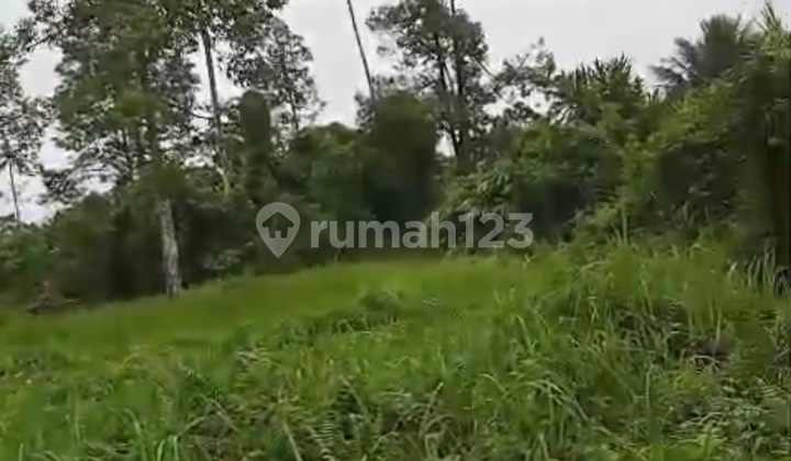 Tanah Sewa View Hutan Sungai Zona Kuning