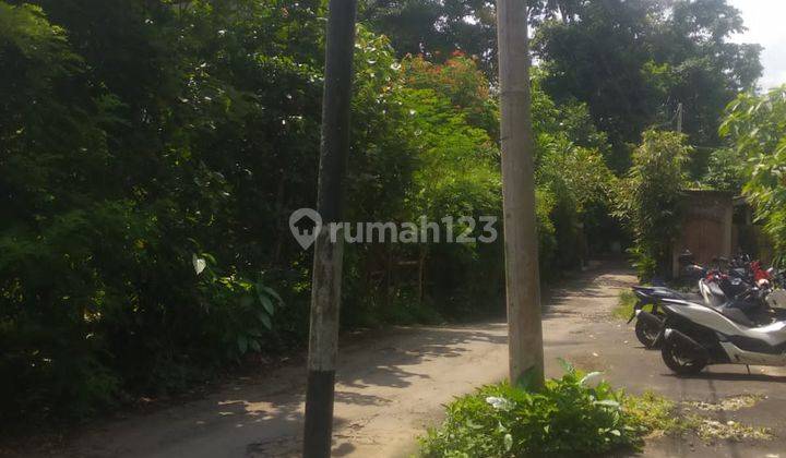 Tanah Lingkungan Villa Keren Di Ubud Ziap Bangun Villa  1