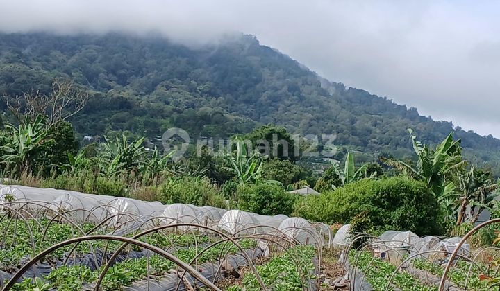 Land Suitable for Villa, Cool Air, Low Price, Hill View Land Suitable for Villa, Cool Air, Low Price, Hill View