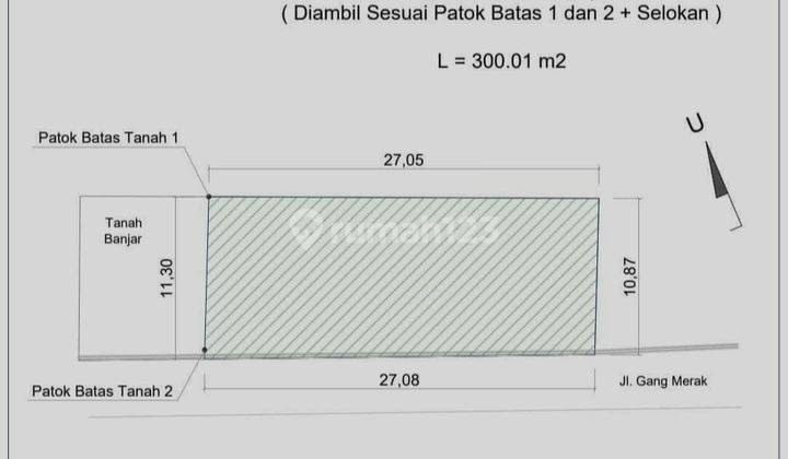 YELLOW ZONE LAND CAN BE 3 RENTAL VILLAS IN CANGGU 2