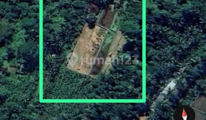 For Sale Land Location Payangan Ubud Special Unique Large Area For Sale Land Location Payangan Ubud Special Unique Large Area