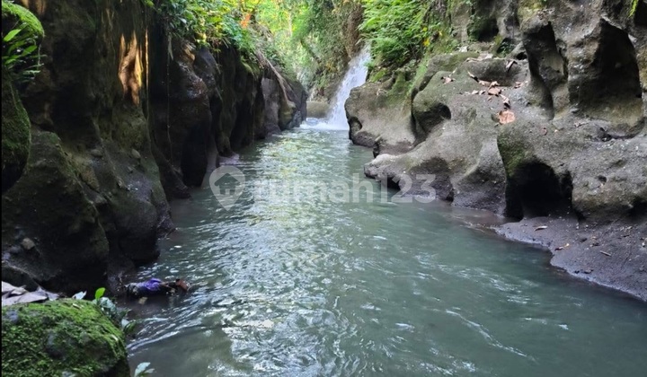 Land View River Forest Cool Yellow Zone Ubud
