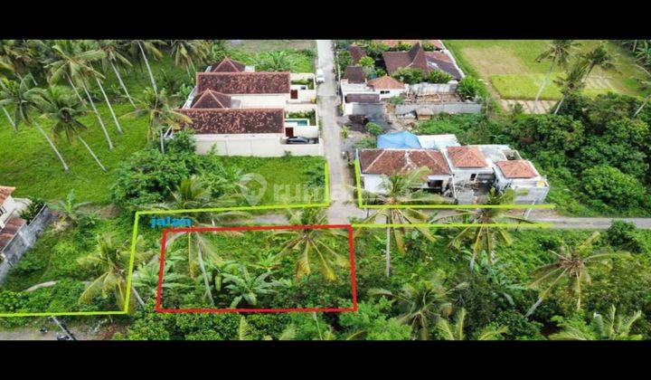 Yellow Zone Land Suitable for Rental Villas in Ubud Cheap Price 1