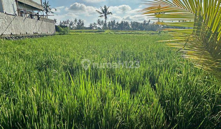 Tanah Zona Kuning View Sawah Lingkungan Villa Keren 2