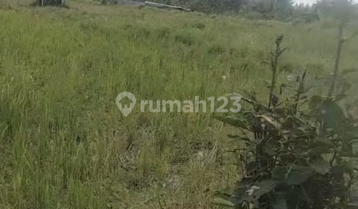 Dijual Tanah Area Singapadu Kutri Lingkungan Villa Dijual Tanah Area Singapadu Kutri Lingkungan Villa