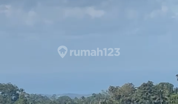 Tanah Murah View Sungai Air Terjun Sawah Hutan Gunung Laut 