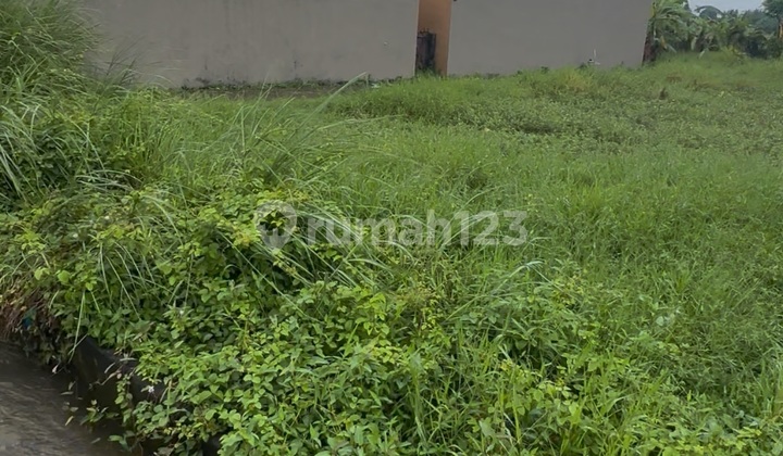 Tanah View Sawah Keren Cocok Vila Rental Lokasi Tenang