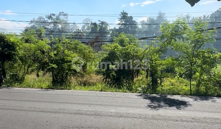 Tanah Untuk Vila Resto Cafe Jalan Utama Harga Murah Tanah Untuk Vila Resto Cafe Jalan Utama Harga Murah