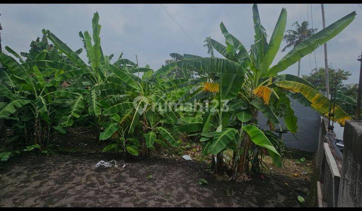 YELLOW ZONE LAND SMALL SIZE SUITABLE FOR VILLA RENTAL 2