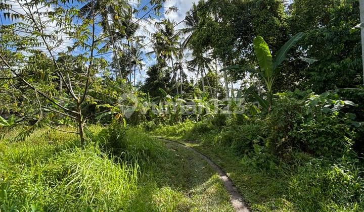 Land for Sale in Pejeng Ubud Area, Good Rice Field View.
