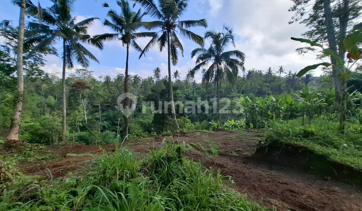 View Kwren Cocok Vila Resorr Harga Murah Aja View Kwren Cocok Vila Resorr Harga Murah Aja