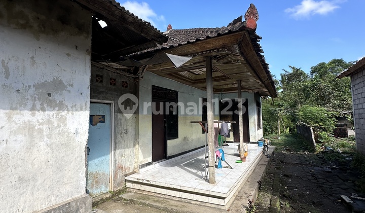Rumah Pinggir Jalan Raya Super Murah Cocok Bisnis Guesthouse Rumah Pinggir Jalan Raya Super Murah Cocok Bisnis Guesthouse