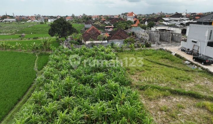 Disewakan Tanah Lokasi di Padonan Cocok untuk Villa