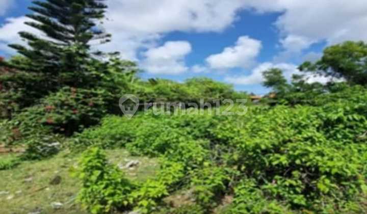 Dijual Tanah Bonus Rumah di Nusa Dua Kuta Selatan