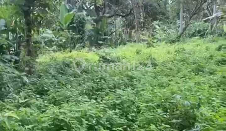 Tanah Sewa Zona Kuning View Sungai Hutan untuk Villa