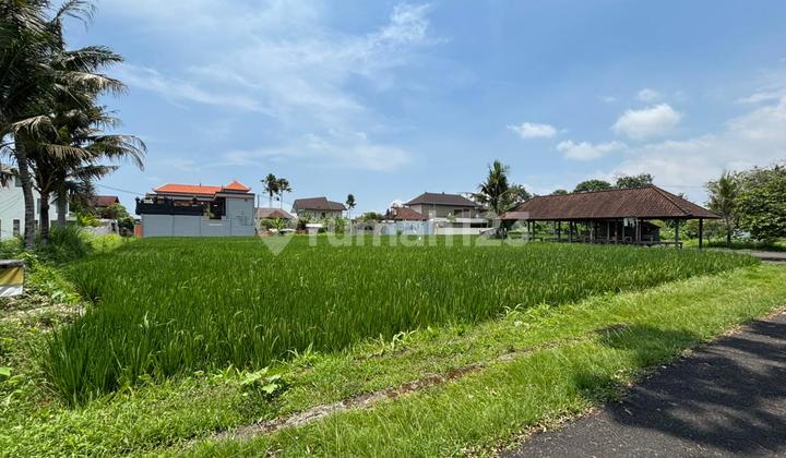 Tanah Zona Kuning Harga Murah Cocok Vila Pribadi Tanah Zona Kuning Harga Murah Cocok Vila Pribadi