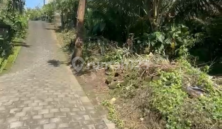 Tanah Sewa Zona Kuning Harga Murah Siap Bangun Villa