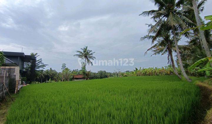 Tanah View Sawah Cantik Lingkungan Villa Siap Bangun 2