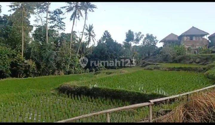 COOL RIVER RICE FIELD VIEW LAND SUITABLE FOR VILLA RENTALS UBUD 1